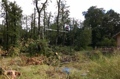 immagini telefono 007